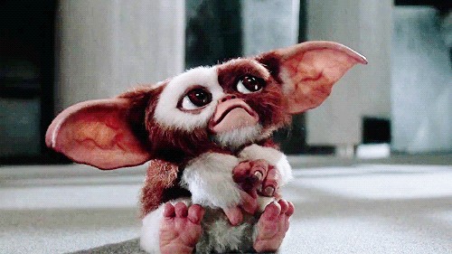 Gif Gremlins Gizmo