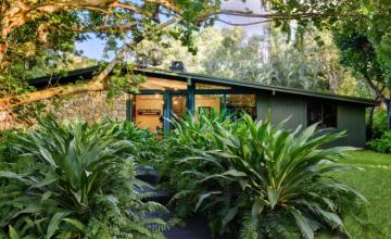 Tropical Modernism Gets A New Look In Floridian Paradise Wallpaper