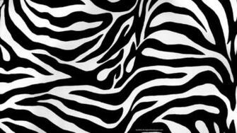 Zebra Background