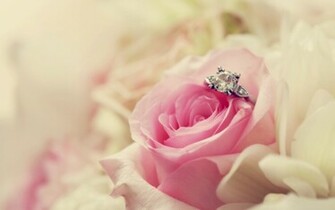 Wedding Fondos De Pantalla HD Escritorio Wallpaper