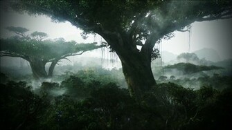 Nature Jungle Wallpaper Avatar Forest