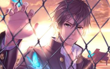 Anime Boy Wallpaper 4k Teahub Io