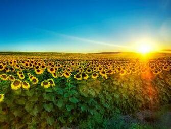 Tag Beauty Of Nature Desktop Wallpaper Background Photos Image