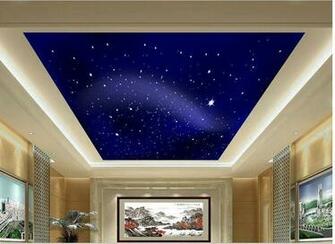 Ceiling Frescoes Wallpaper 3d Shipping 820wr