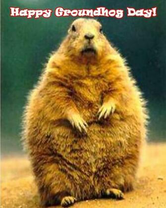 Groundhog Day Wallpaper