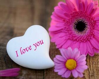 Obtain Love HD Wallpaper For Pc Image New