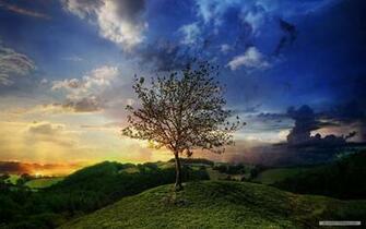 Wallpaper Nature Sunshine And Trees
