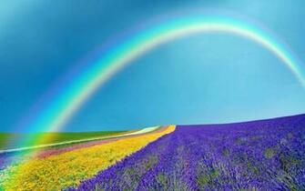Nature Colors Of Spring 16april2015thursday
