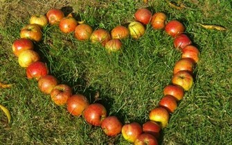 Apples In The Grass Wallpaper