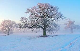 And Screensavers Nature Samsung Tablet Wallpaper
