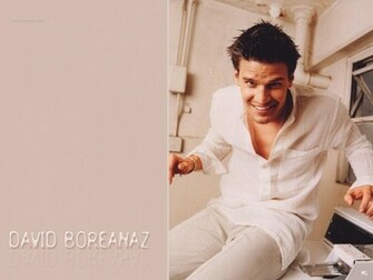 David Boreanaz Wallpaper Jpg