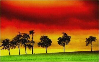 Gambar Reggae Baru Gratis