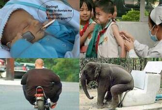And Top Funny Pic Wallpaper HD Uploaded By