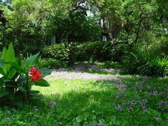 Garden Wallpaper Related Keywords Suggestions