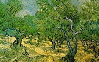 Van Gogh Wallpaper And Background