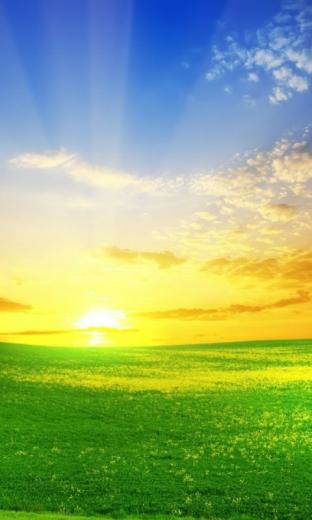 3d Grassland HD Live Wallpaper Screenshot