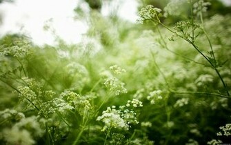 Indie Desktop Background Background