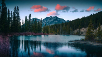 Aesthetic Nature Wallpaper