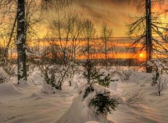 Winter Sunset HD Wallpaper