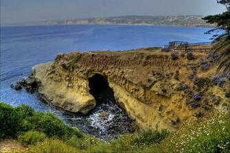 California La Jolla Usa Nature Wallpaper