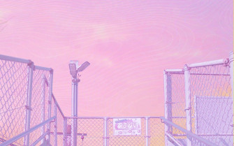Japanese Pink Wallpaper
