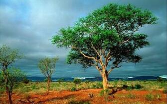 Beautiful Nature Photography Real HD Wallpaper Of