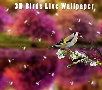 3d Birds Live Wallpaper Applications Android Et Tests Androidpit