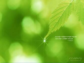 Color Using Natural Wallpaper High Resolution Photos