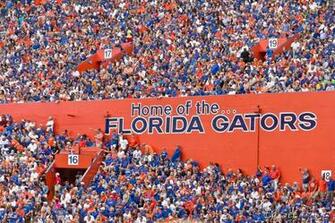 Ways You Know Re A Florida Gator