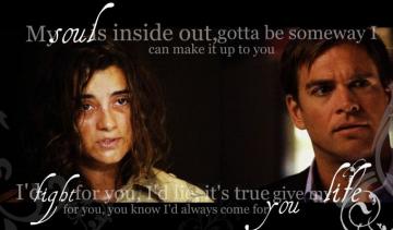 Tiva Caskett Image Tony And Ziva HD Wallpaper Background
