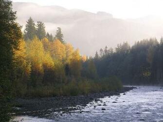 Aube Mt Rainier Wallpaper