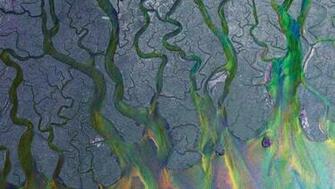 Alt J
