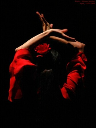 Flamenco By Aniram67