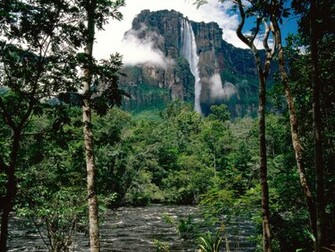 Angel Falls Venezuela Wallpaper And Image Pictures