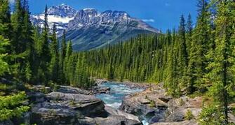 Green Mountain Scene Wallpaper Wallpaper55 Best