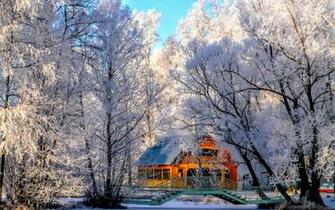 Cabin In The Woods Winter Time Widescreen Wallpaper Wide
