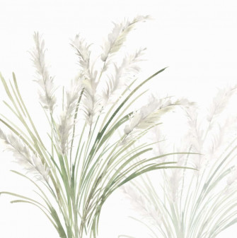 Pampas Grass Background Wallpaper