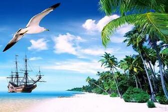 Tropical Paradise Wallpaper