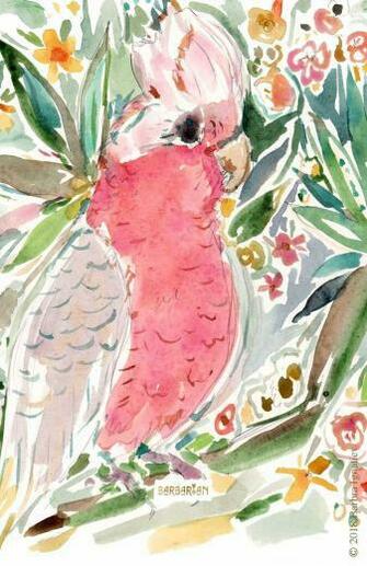 Vinny The Galah Cockatoo Wallpaper iPhone Boho