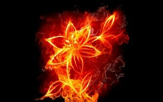 Fire Flower Computer Wallpaper Desktop Background Id