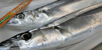 First Quota For Saury Passed By North Pacific Fisheries Commission Wallpaper