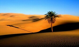 Desert Wallpaper High Definition Pc HD Desktop Background