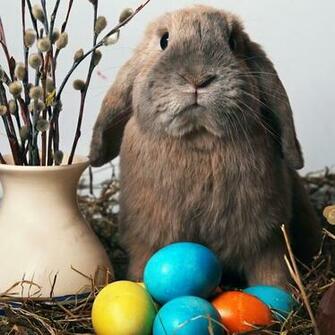 Easter iPad Wallpaper