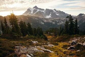 Landscape Mountains Forest Mount Shuksan North Cascades National