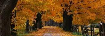 Fall Wallpaper HD Widescreen Autumn