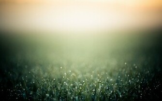 Grass Computer Wallpaper Desktop Background Id