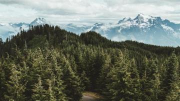 4k Mountains Trees Road Wallpaper
