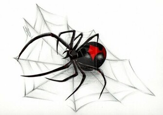 Funny Stuff About Animals Nature Black Widow Spider Wallpaper