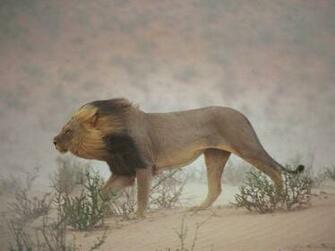 National Geographic