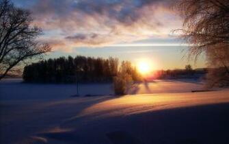 Winter Sun Wallpaper Net